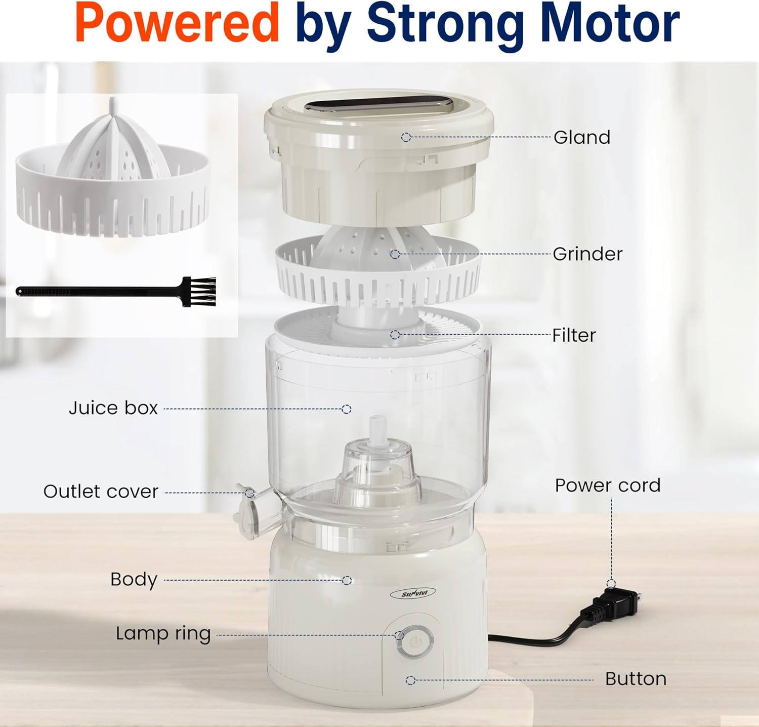 image:imageDualHead Electric Citrus Juicer Plugin Model Juicer Machine with Cleaning Brush Portable Lemon Squeezer for Fresh Orange Lemon Lime Kiwi Grapefruit Easy to CleanampUseWhite