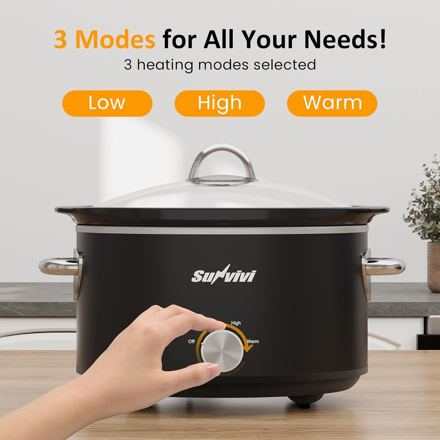 image:imageSunvivi 4QT Programmable Slow Cooker with Locking Lid Removable Ceramic Pot 3 Heating Settings amp Timer DishwasherSafe Stainless SteelBlack