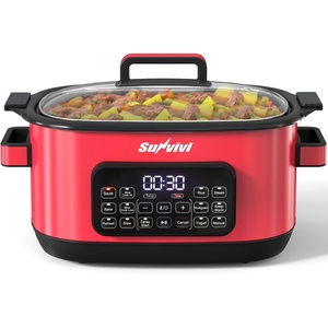 image:imageSunvivi 12in1 Multi Cooker 65QT Programmable Slow Cooker with Timer amp Temp Control Auto Warm Setting Delay Start Dishwasher Safe Lid amp Removable Nonstick Crock Stainless Steel Rack SliverRed